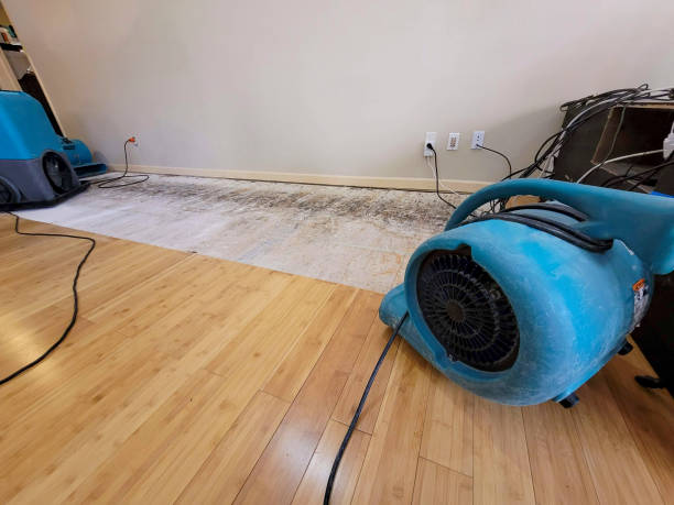 Professional Basement Flood Cleanup technician working in Kipton, OH